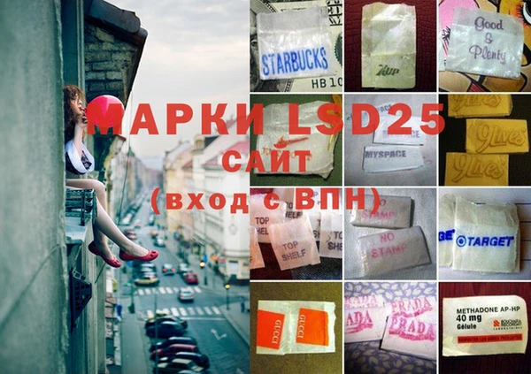 ПСИЛОЦИБИНОВЫЕ ГРИБЫ Балабаново