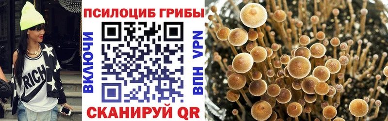 Псилоцибиновые грибы GOLDEN TEACHER  Ладушкин 